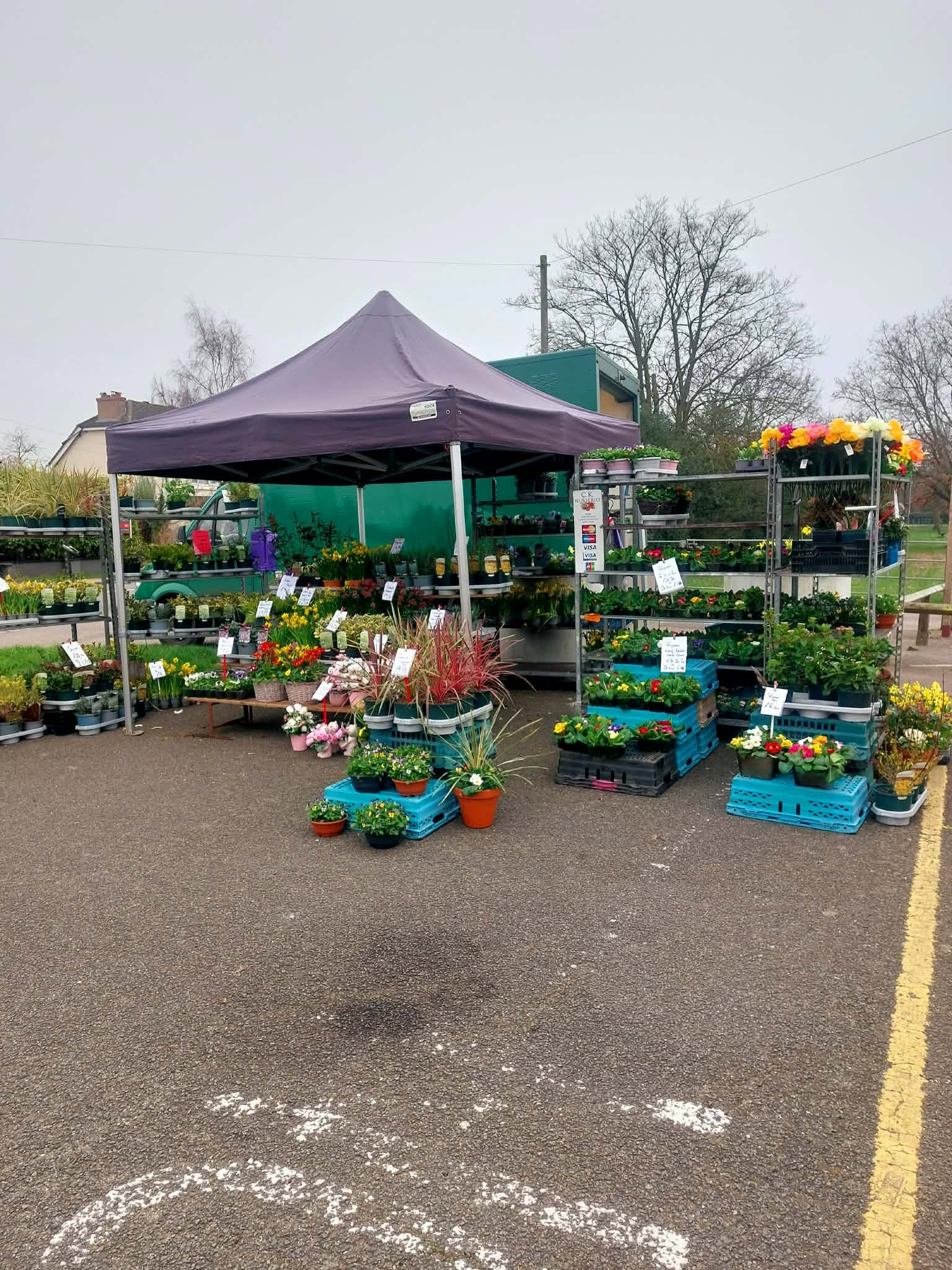 Colin’s Plants at Flitwick Market